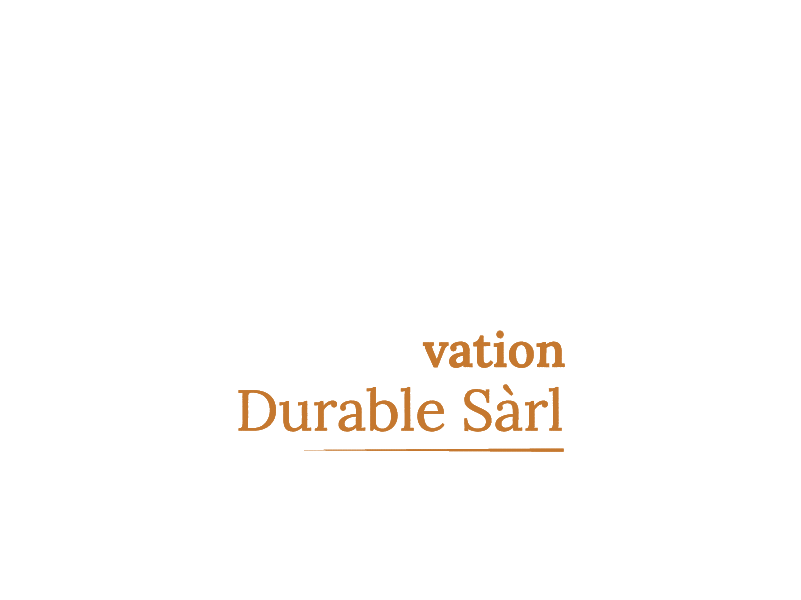 RAYNAUDvationdurable logo footer